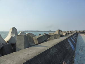 P1110920.jpg