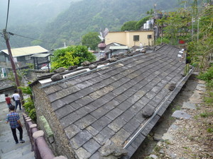 P1120113.jpg