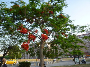 P1120246.jpg