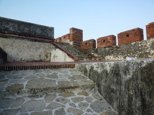 P1120255.jpg
