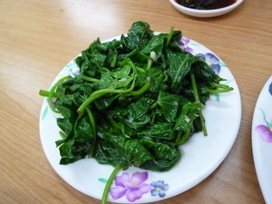 P1120338.jpg