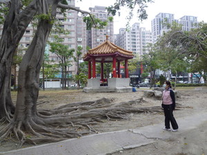P1130571.jpg
