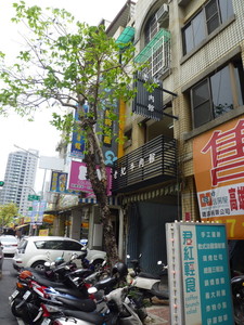 P1130873.jpg
