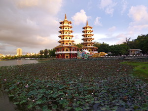 P1140276.jpg