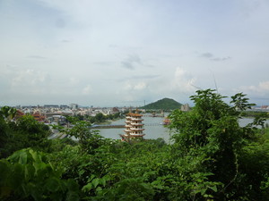 P1140289.jpg