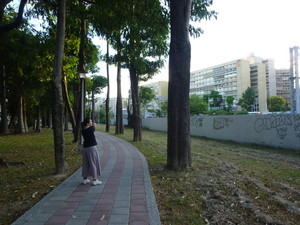 P1140319.jpg