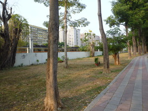 P1180883.jpg