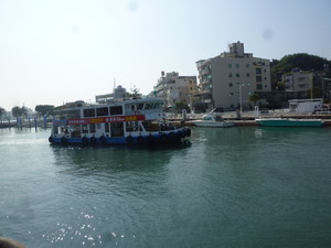 P1190153.jpg