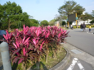 P1190325.jpg