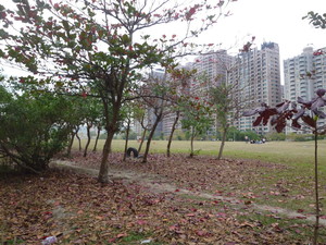 P1190779.jpg