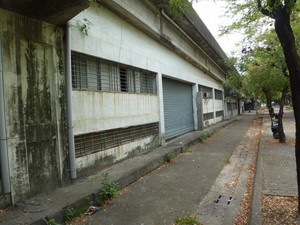 P1230536.jpg