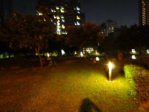 P1230816.jpg
