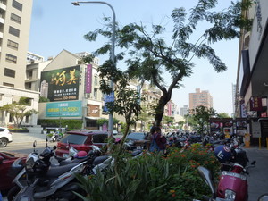 P1240833.jpg