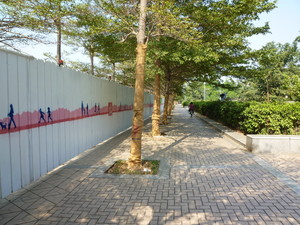 P1240836.jpg