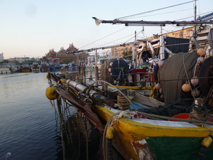 P1240844.jpg
