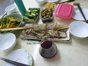 P1240862.jpg