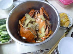 P1240864.jpg