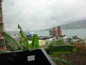 P1250155.jpg