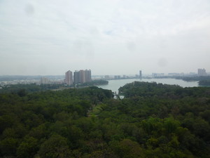 P1250526.jpg