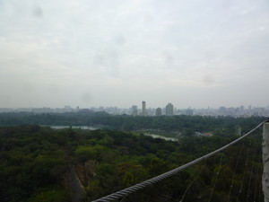 P1250527.jpg