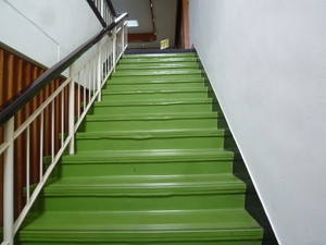 P1250551.jpg