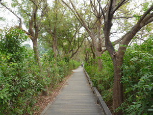 P1250561.jpg