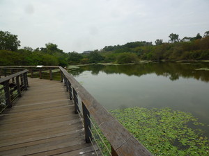 P1250568.jpg