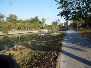 P1260489.jpg