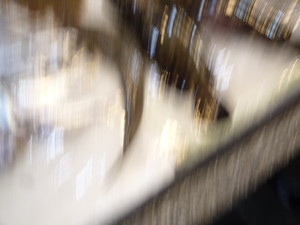 P1260751.jpg