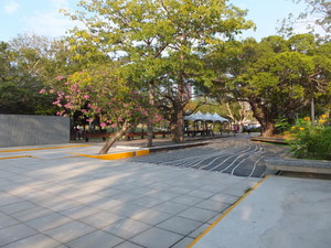 S0011001.jpg