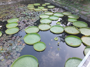 S0037003.jpg