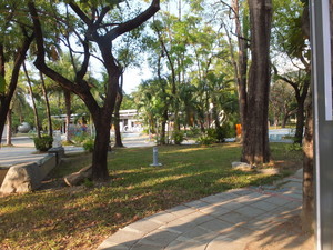 S0081009.jpg
