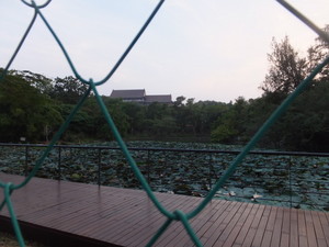 S0207874.jpg