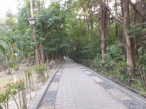 S0232122.jpg
