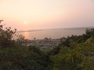 S0267946.jpg
