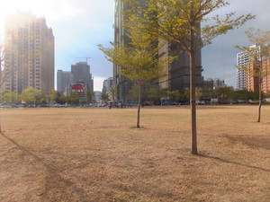 S0301611.jpg