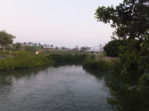 S0313031.jpg
