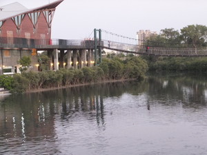 S0363036.jpg