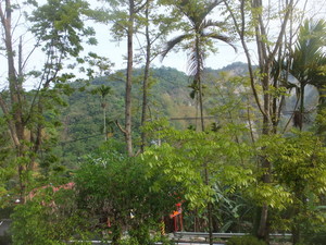 S0372398.jpg