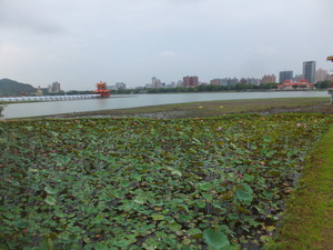 S0404224.jpg