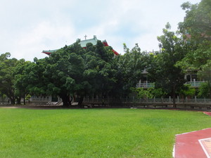 S0644928.jpg