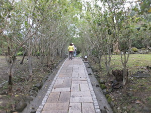 S0688259.jpg