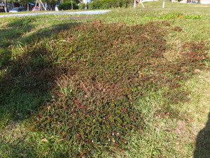 S0692096.jpg