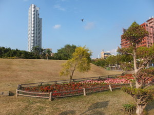S0710188.jpg