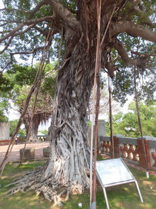 S0724170.jpg
