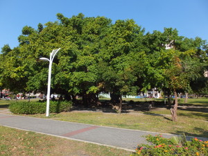 S0742101.jpg