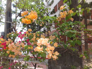 S0762450.jpg