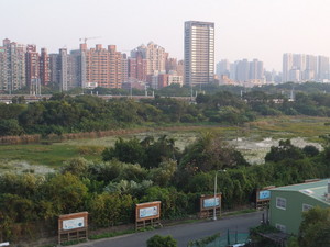 S0802084.jpg
