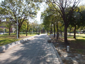 S0812109.jpg