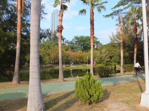S0930212.jpg